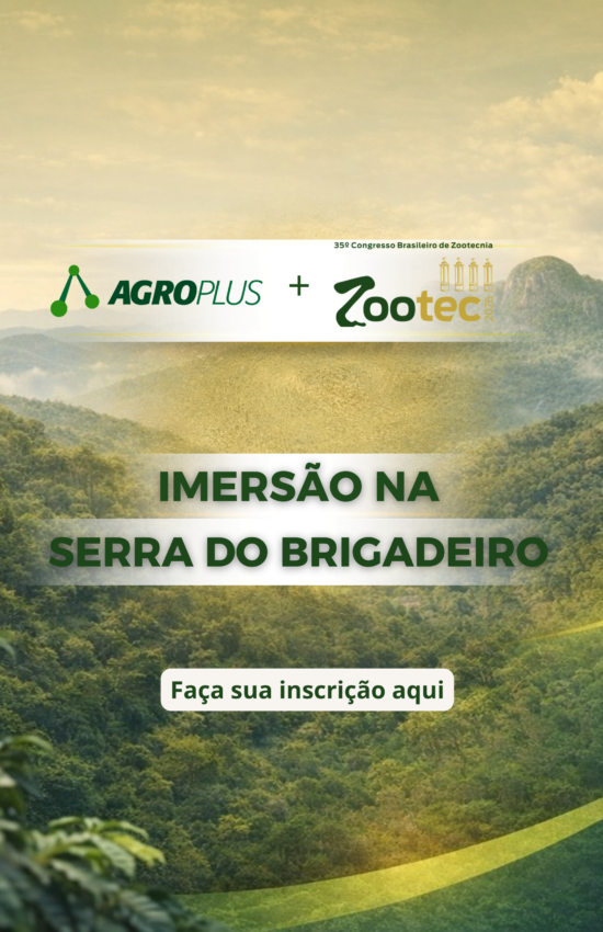 Serra do Brigadeiro